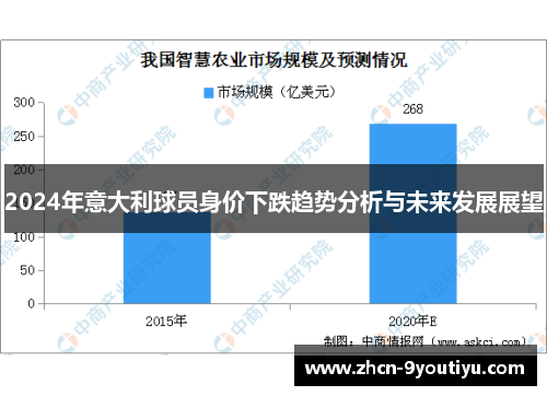 2024年意大利球员身价下跌趋势分析与未来发展展望